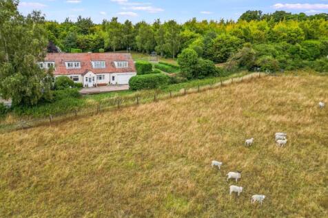 DJI_0173.jpg