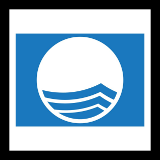 Blue Flag.png