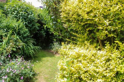 Property Image 16