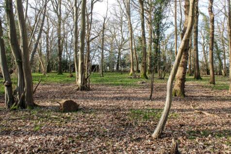 Property Image 31