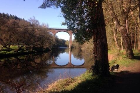 Nearby Walks Along The River Wear