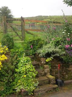 Property Image 44