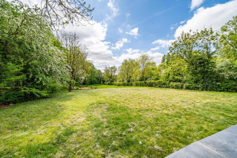 Property Image 43