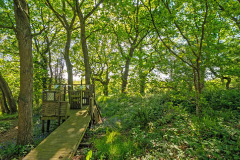 Property Image 44