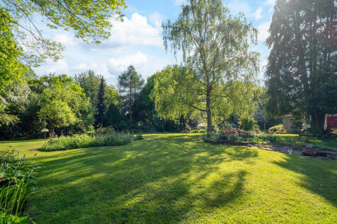 Property Image 46
