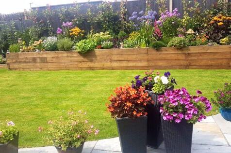 Garden In Summer -taken by Homeowner
