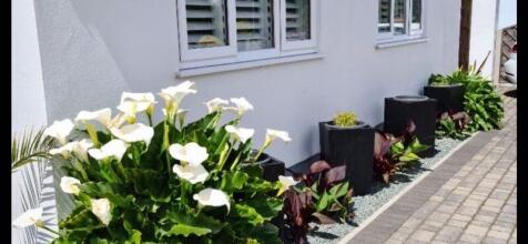 Garden in Summer - Taken by homeowner
