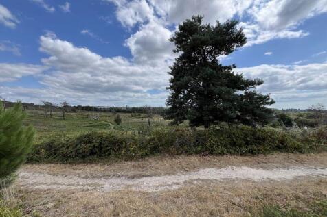 Canford Heath