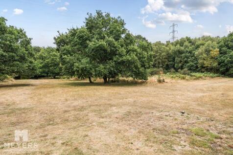 Ferndown Common
