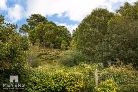 View Of Heathland 