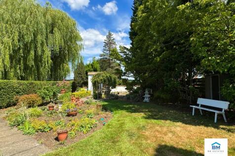 Rear aspect of garden