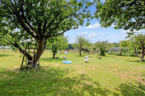 Orchard