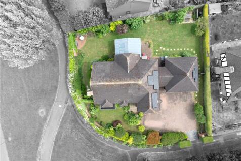 Birds Eye