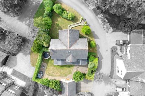 Birdseye