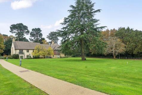 The lawn near the Wellness Centre