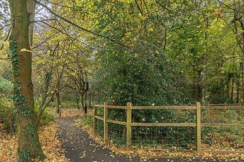 Woodland walks