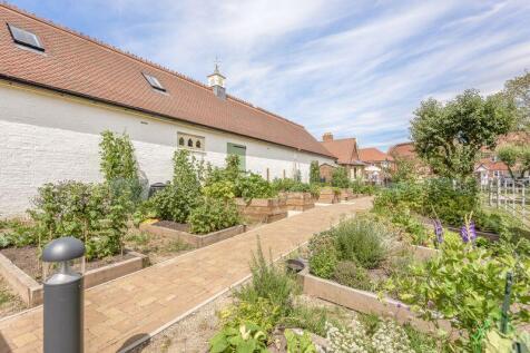 Vegetable garden