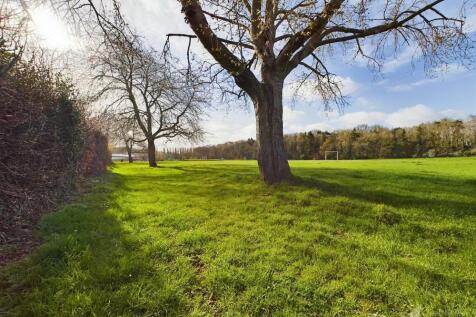 Ridlins Park.jpg