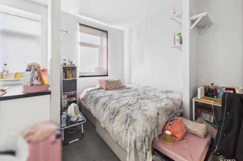 Lounge/Kitchen/Bedroom