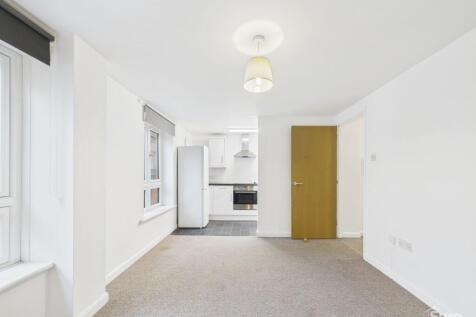 Living Room and Kitchen Area