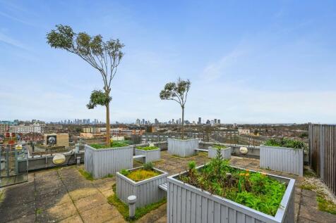 Roof Garden