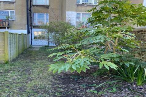 Garden photo 2