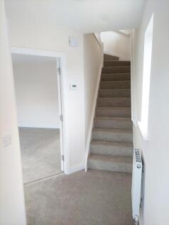 New Downstairs Hallw