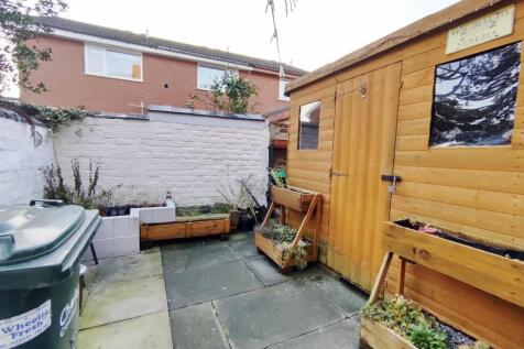 New Rear YArd