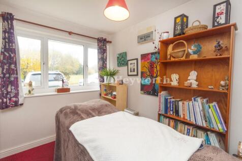 Living Room or Bedro