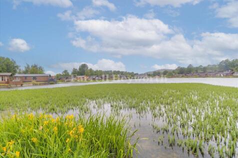 Lake view 2