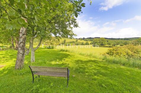 Great Local Views