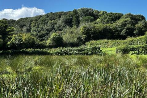 LOWER MEADOW