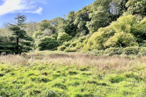 MEADOW.jpeg