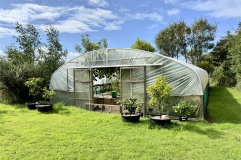 POLYTUNNEL II.jpeg