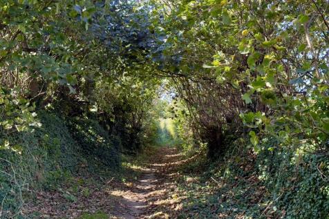 ADJACENT BRIDLEWAY TO LOWER REEN