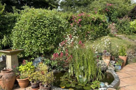 Garden pond.jpg