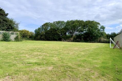MEADOW.jpeg