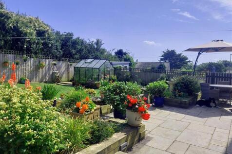 Patio and Garden