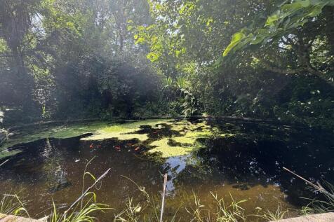 Pond