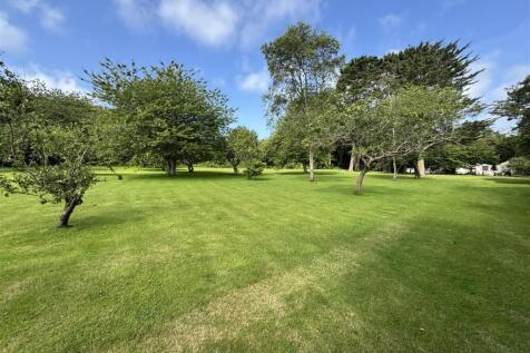 Orchard