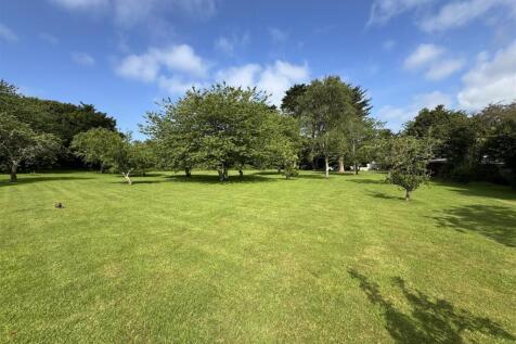 Orchard