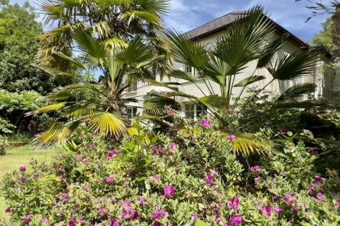 FLOWERS AND HOUSE.jpeg