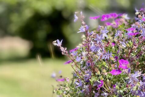 FLOWERS.jpeg