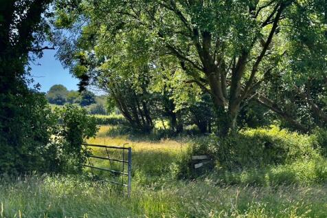 MEADOWS II.jpeg
