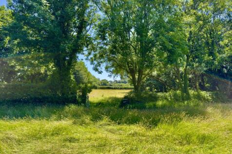 MEADOWS.jpeg