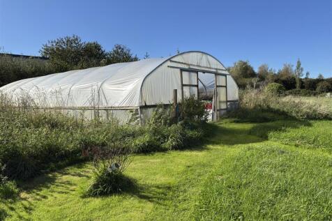 Polytunnel