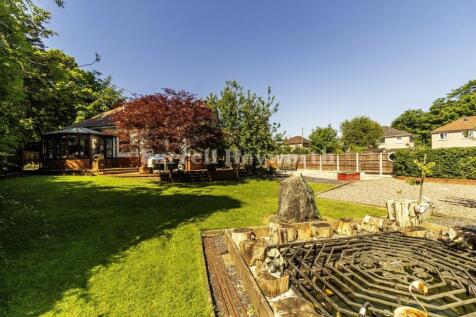 Garden view 3