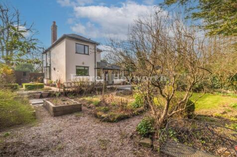 Garden image 4