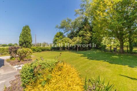 Garden New image 7