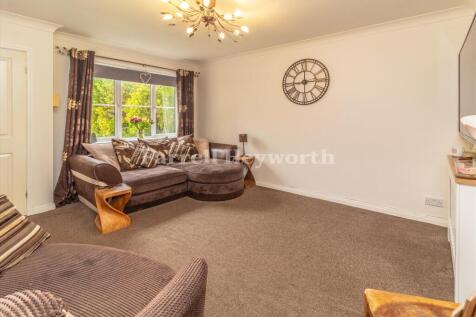 Lounge image 4